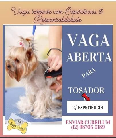 Vaga aberta para tosador