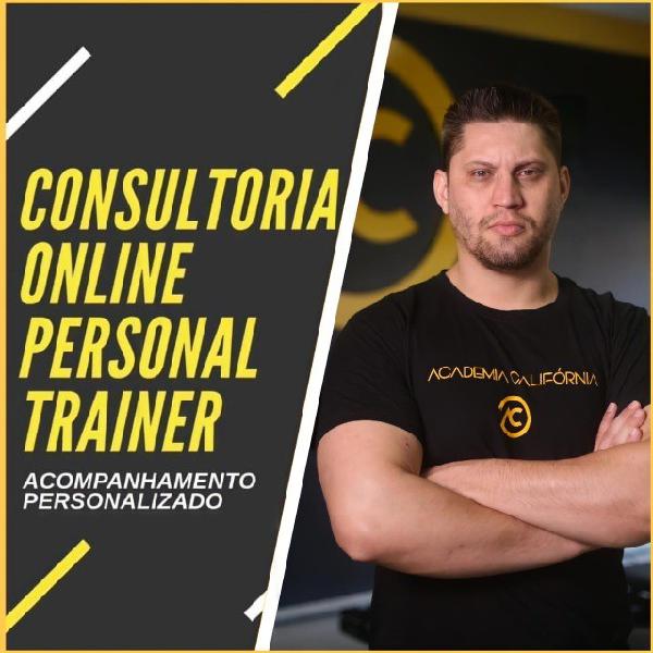 Consultoria online.