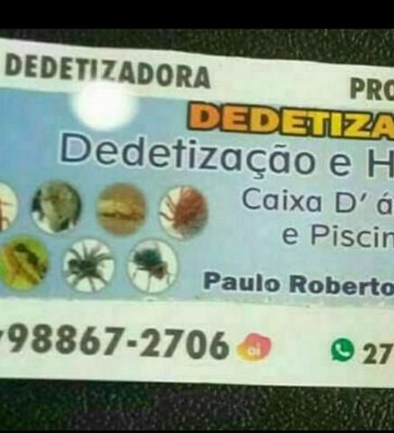 Descupinização, desratização e dedetização de pragas