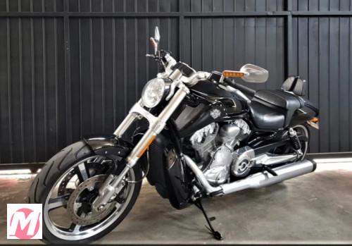 Moto Harley-Davidson V Rod V Rod Muscle por R$48.900,00 em