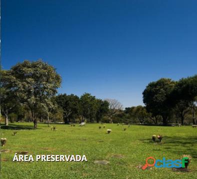 Jazigo   Cemitério Parque Iguaçu   Área Nobre 2