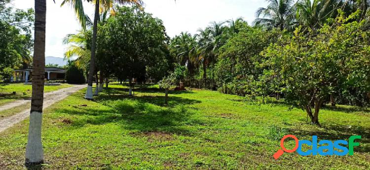 Venta de Mini Finca de una Hectárea 3