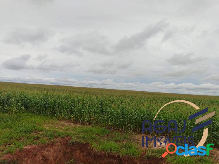 FAZENDA EM ARAGUAÍNA-TO | 665 ALQ | LAVOURA 2