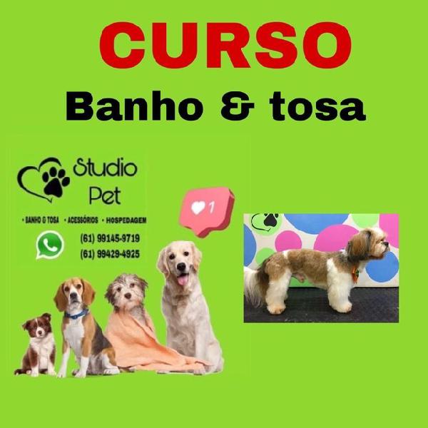 Curso de banho e tosa