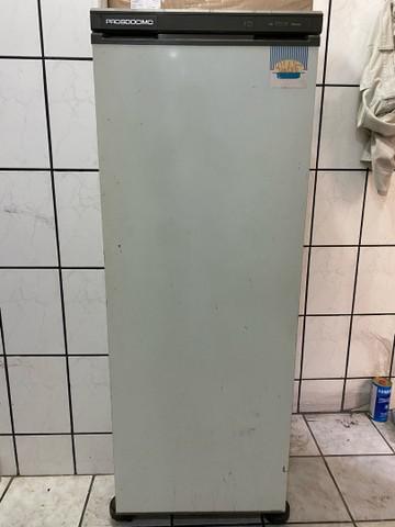 Freezer prosdócimo f21 - 110v