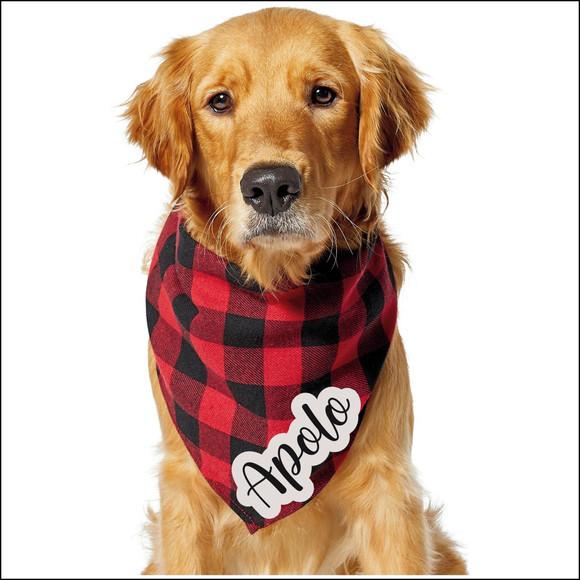 Bandana para cachorro com nome personalizado tam g e gg no