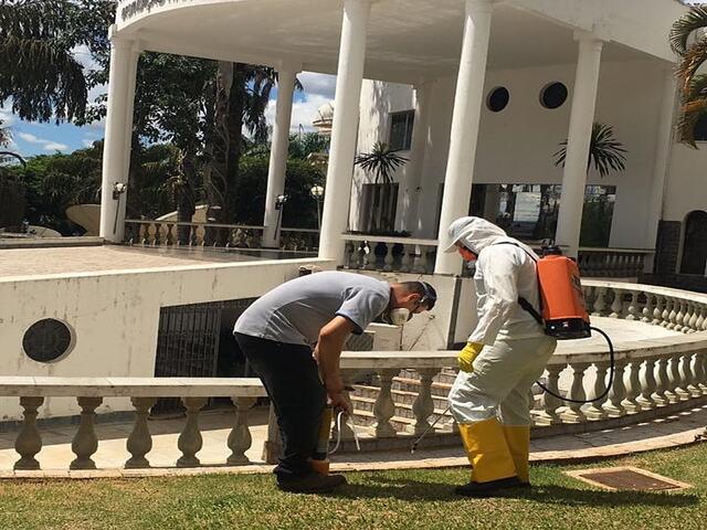 dedetizadora em campo grande Classificados Campo Grande News