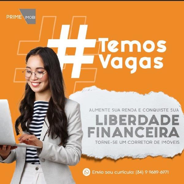 Consultor de vendas