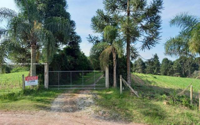 Sítio / chácara para venda em campo largo, bateias, 3