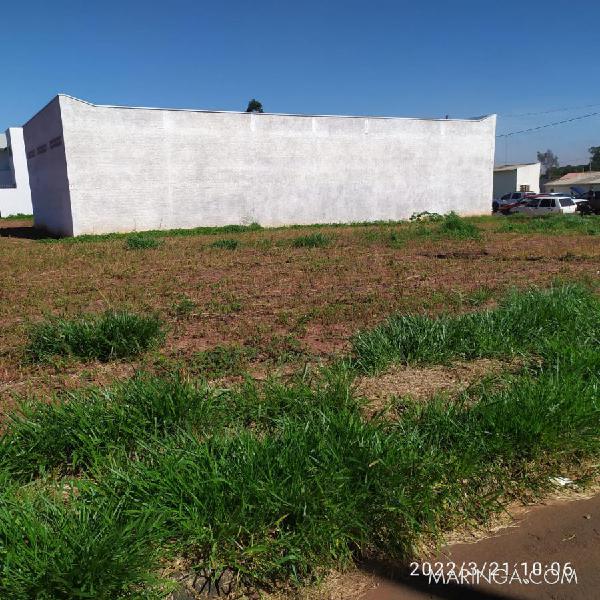 Terreno 250 m2, bem localizado, em Iguaraçu