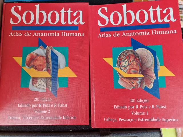 Atlas de anatomia humana