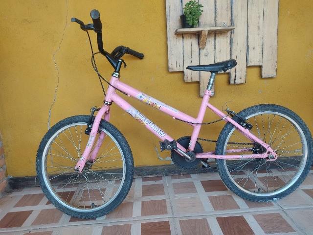 Bicicleta infantil aro 20