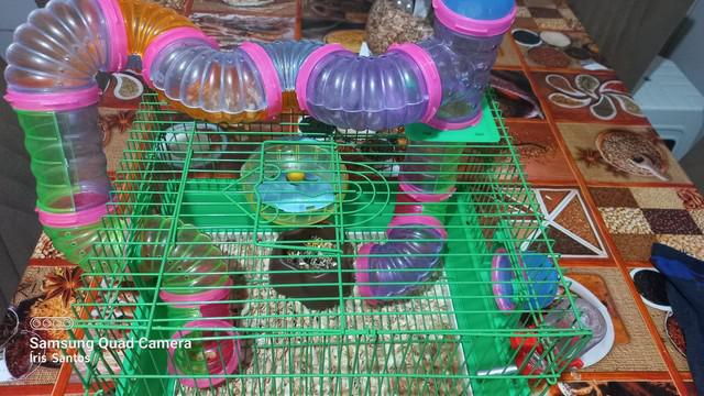 Gaiola hamster completa