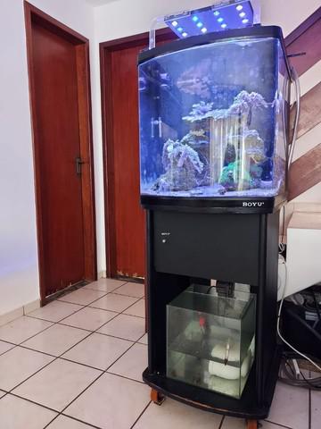 Vendo aquário marinho Boyu 128 L completo