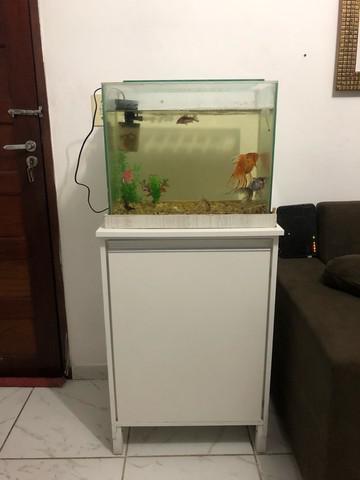 Aquário 60 L completo projetado