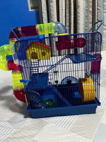 Gaiola hamster luxo 3 andares seminova