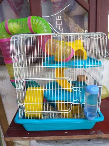 Gaiola para hamster