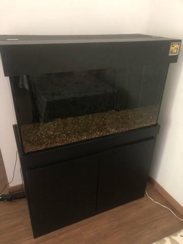 Aquário 200 litros + móvel + sump