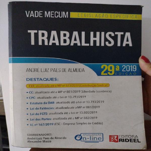 Vade mecum trabalhista 2019 - 29° edição