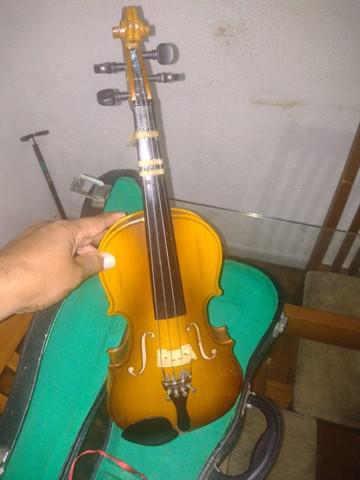 Violino