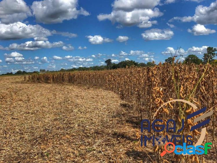 FAZENDA EM ARAGUAÇU-TO | 103 ALQ | DUPLA APTIDÃO