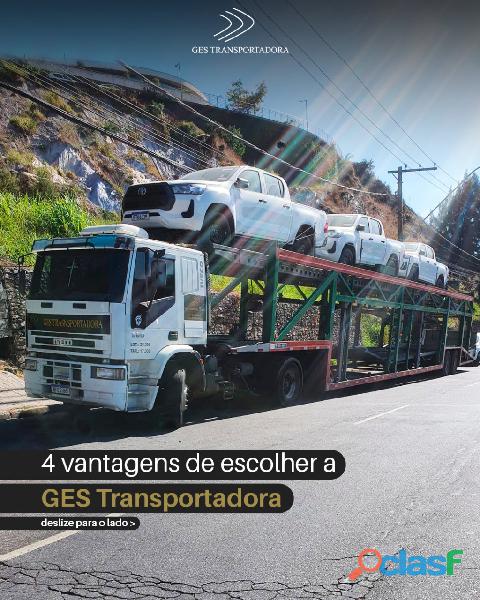 Cegonhas   Transporte 1