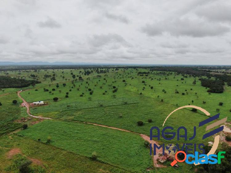 FAZENDA EM PORANGATU-GO | 192 ALQ | DUPLA APTIDÃO