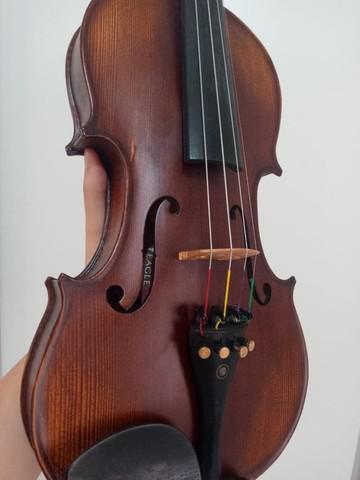 Violino eagle