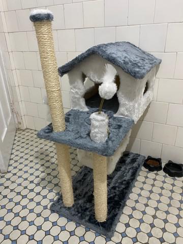 Arranhador casa para gatos NOVO