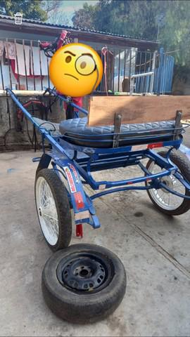 Vendo esta charrete