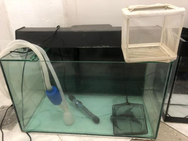 Aquário 60l completo