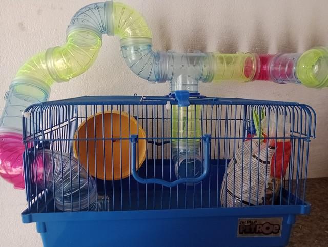 Gaiola para hamster