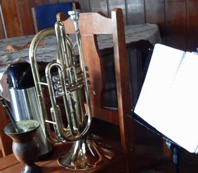 TROMBONITO VENDO USADO SO PEGAR E TOCAR