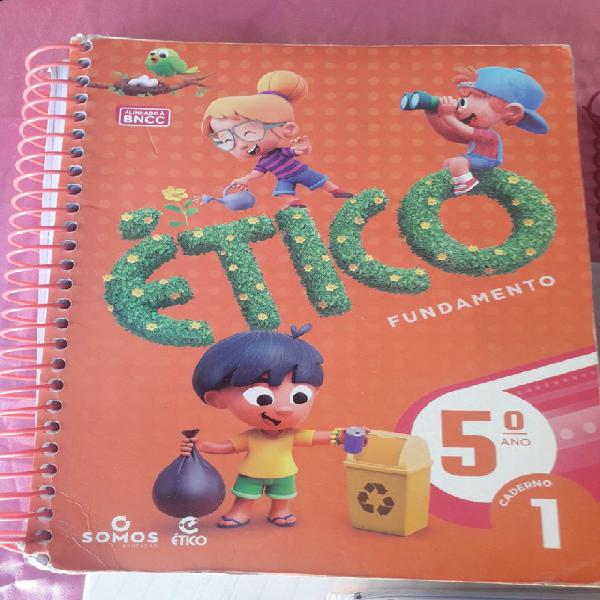 Livros escolares do 5 ano do ensino fundamental em otimo