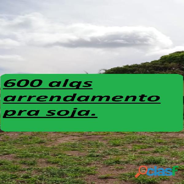 600 alqs arrendamento disponivel pra soja região peixe to