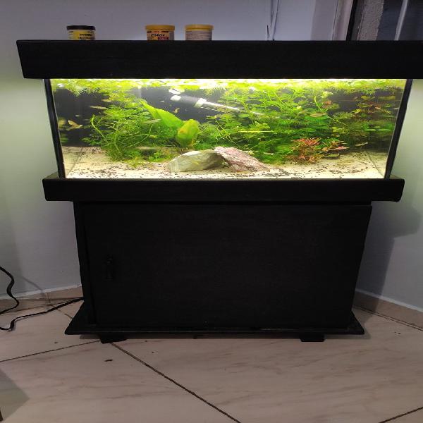 Aquário 50l plantado completo