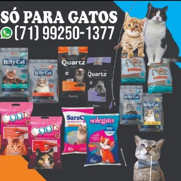 Só Produtos para GATOS em Salvador.