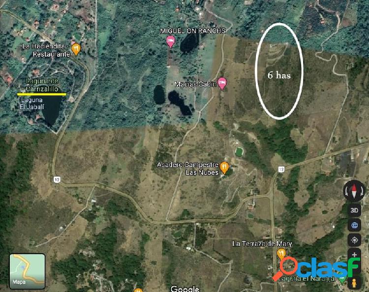 EN VENTA 6 HECTÁREAS A 900 MTS CARRETERA CARRIZALILLOS, COMALA EN COLIMA 2