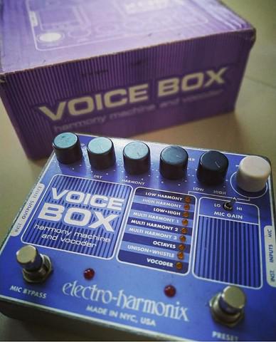 Pedal voice box