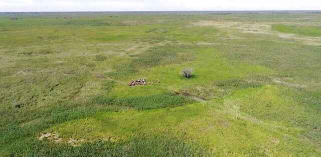 Fazenda na pecuaria para venda no Pantanal na região de