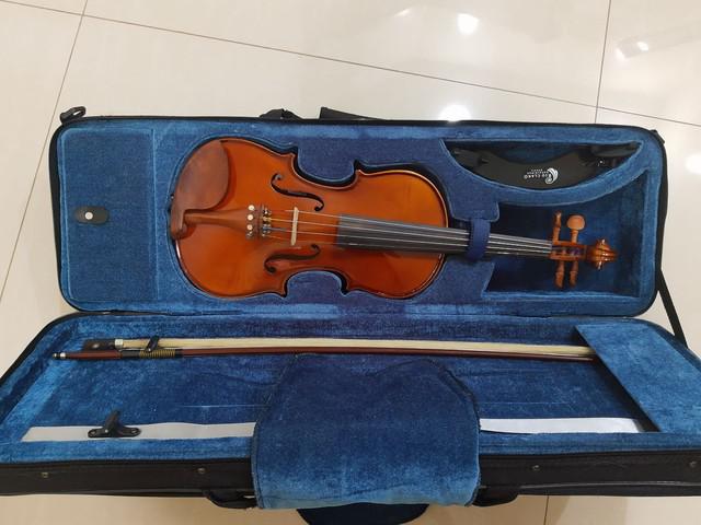 Violino Eagle