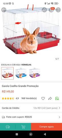 Gaiola coelho porquinho da índia