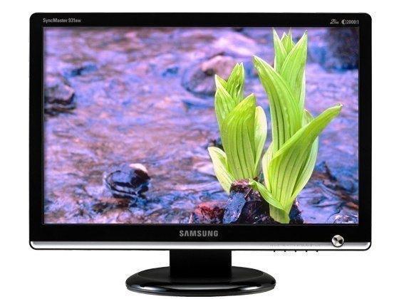 Monitor Lcd Samsung 19 Polegadas HD 1440x900 75 Hz Dvi VGA