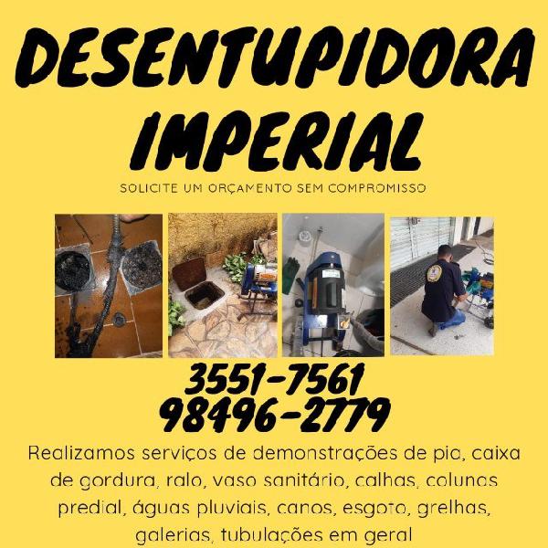 Desentupo Desentupidor de Caixas de Gordura, Pia, Ralo, Vaso