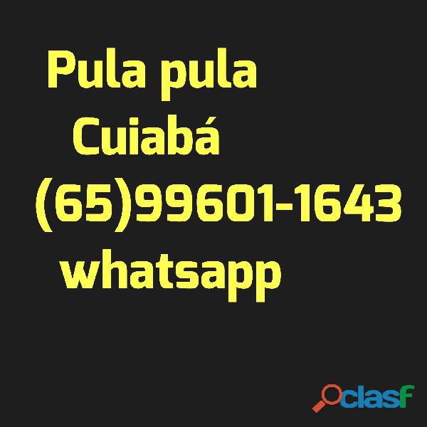 Aluguel de brinquedos cuiabá 996011643 whatsapp