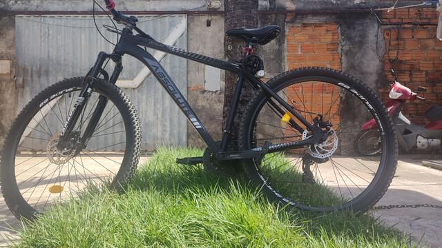 Bike mtb 29 absolute wild 21 v