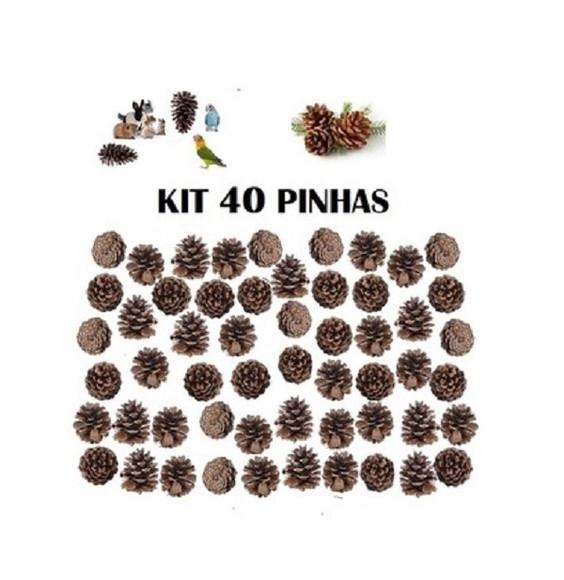 Kit 40 pinhas para coelhos hamster calopsita natal enfeite |