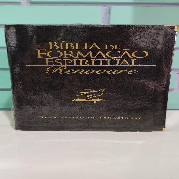 Bíblia formação espiritual renovare