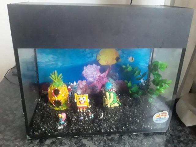 Aquário 10 litros + decoração do bob esponja + bomba de