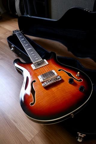 Prs se hollowbody ii